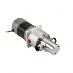 ORIWEN New Stainless Steel Micro Metering Gear Pump